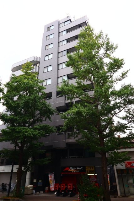 オリンピアトーホー