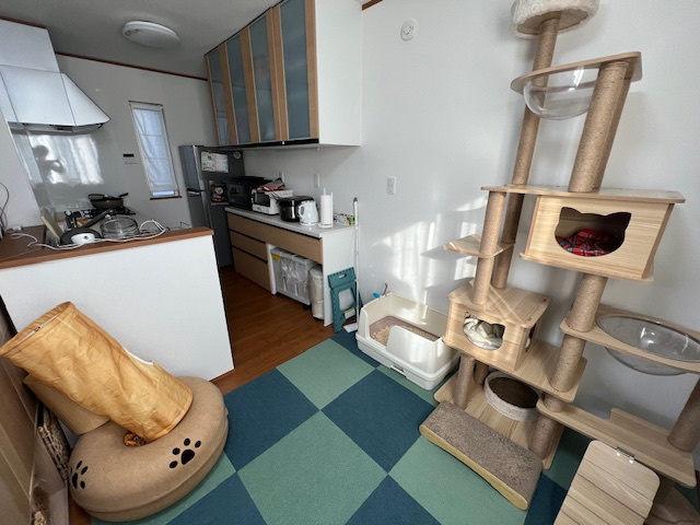 【キッチン】 | 大和市福田　戸建て