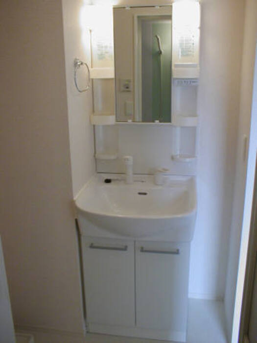 カーサ豊城の洗面所