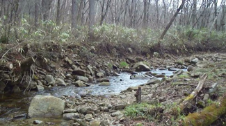  | 岐阜県高山市荘川町六厩　土地