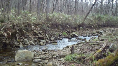  | 岐阜県高山市荘川町六厩　土地