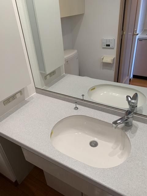 プライムアーバン早稲田の洗面所