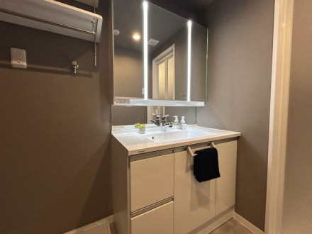 舟入中町パークホームズの独立洗面台