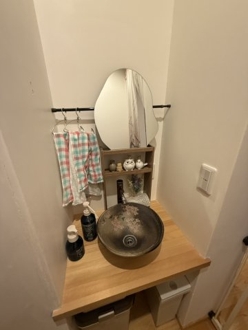 埼玉県鴻巣市箕田3576-1の洗面所