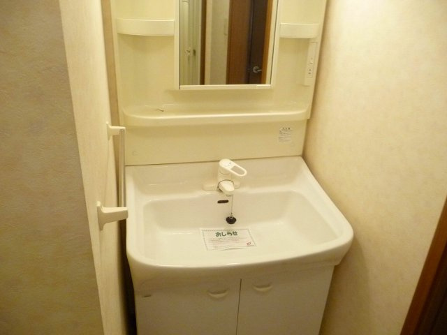 コモドジラソ－レのその他