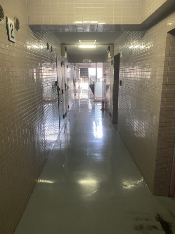 川崎市麻生区高石４丁目の賃貸マンションのロビー