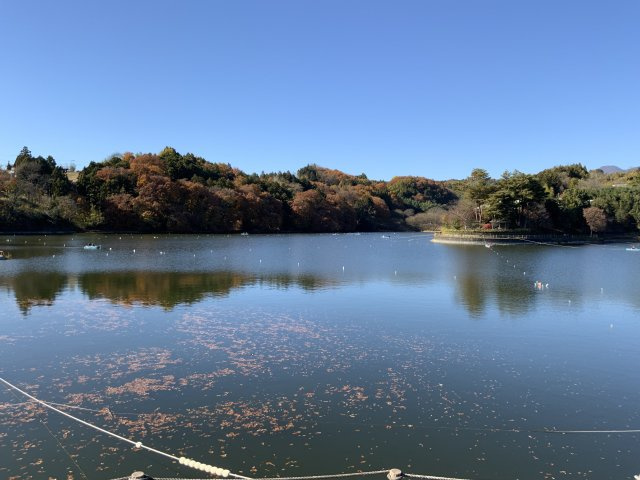 高崎市箕郷町富岡300-5,300-1のその他