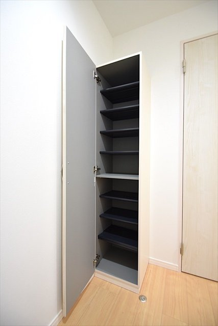 THE HOUSE 与野本町 Blanc(ザ ハウス ヨノホンマチ ブラン)の玄関