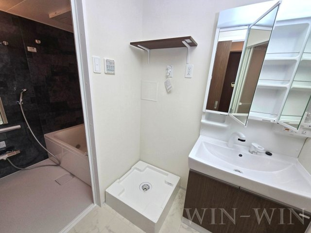 ボスコ三本木の洗面所