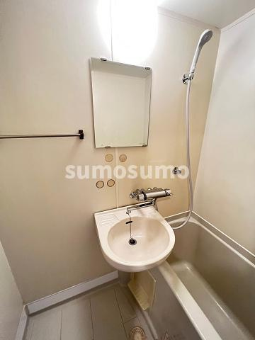 メゾン大和7号館の洗面所