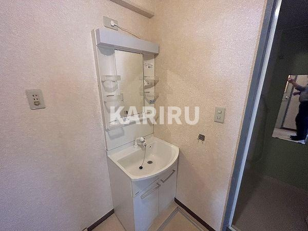 ファースト巽南の洗面所