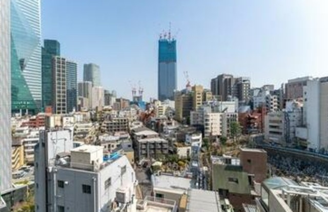 オーキッドレジデンス六本木の展望