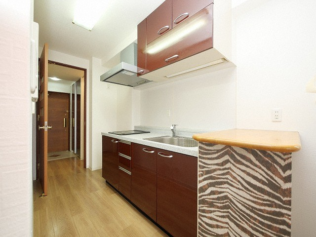 コンソラーレ東野田のキッチン