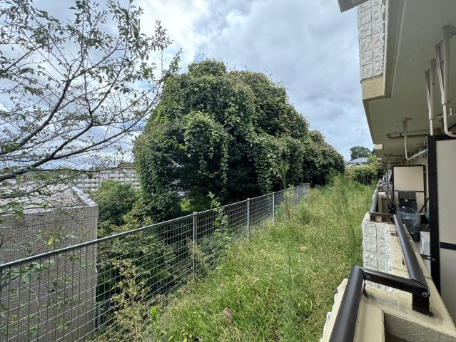 川崎市麻生区高石３丁目の賃貸マンションの展望