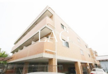 ＥＶＥＲ　ＬＡＳＴＩＮＧの画像