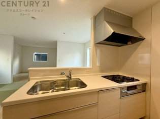 シンプルなデザインと使いやすさを兼ね備えた対面式システムキッチンは、効率的な作業スペースを提供し、家族やゲストとのコミュニケーションを促進します。