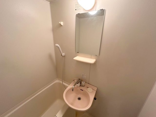 City Lifeディナスティ新大阪の洗面所