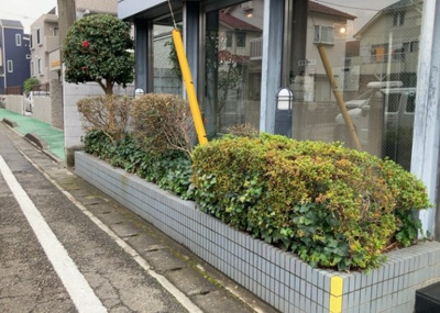 【中庭】 | リズ東林間 | 中庭（パティオ）とは、一つの建築物の内部に設けられた、壁などで囲われている庭のことを指します。コの字型、ロの字型が主流ですが、L字型の中庭もあります。最近では、インテリア性の高さからも人気があります。