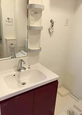 リヴシティ御茶ノ水の洗面所