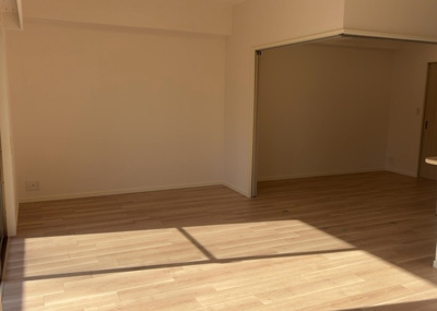 【居間・リビング】 | サンアリーナ相模原西門桜通り | 直線タイプはLとDKを一直線に並べた形で対面キッチンのタイプです。一般的なのでよく見かけるかもしれません。直線タイプに似た直接アイランドタイプは、キッチンとダイニングの間に壁がない分広く感じられます。