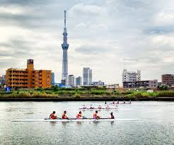 ライオンズマンション東墨田