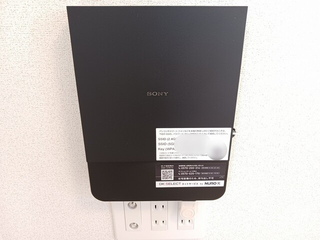 パラディのその他|その他