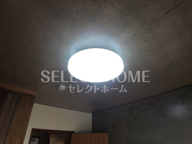  | コンフォールまきの