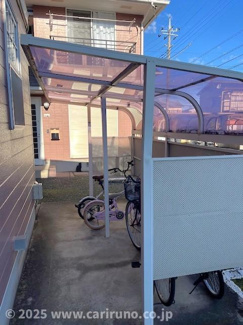 【展望】 | ベルトリーＣ