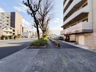 【その他】 | グーディッシュ千歳船橋 | 前面道路