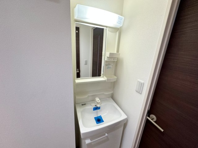 ラ・ルーチェお花茶屋の洗面所|別部屋参考写真