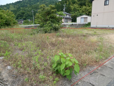 【外観】 | 京都府舞鶴市字水間 土地
