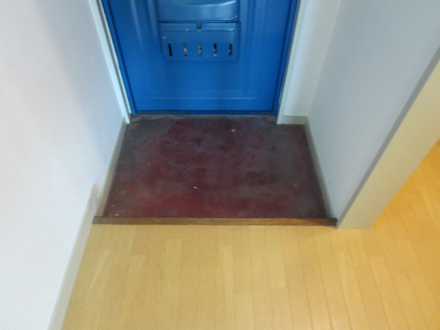 ドミールＲＡＮ