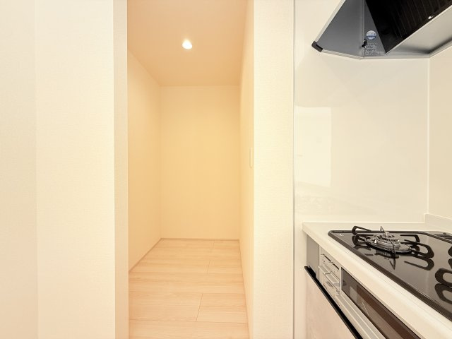 小美玉市小川第1　新築戸建　2号棟の収納