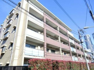 【外観】 | メゾンカルム西新宿 | 鉄筋コンクリート造のがっちりとした建物。