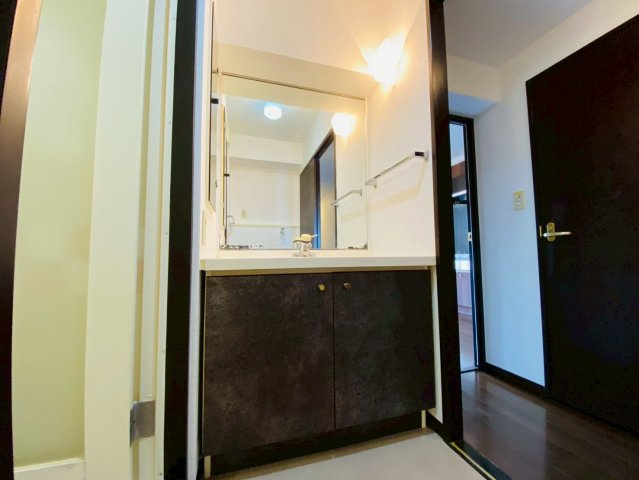 ライオンズガーデン千葉八街の独立洗面台