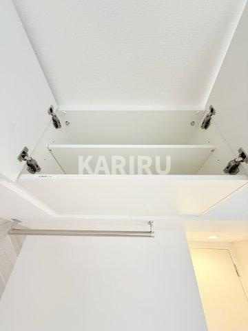 Alivis放出の収納