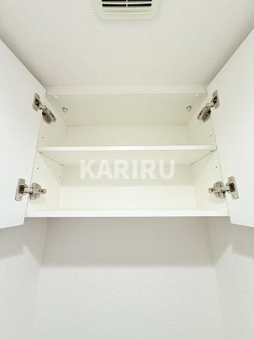 Alivis放出の収納