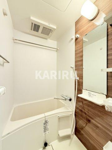 Alivis放出の浴室