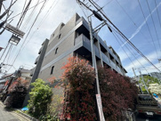 レガリス三軒茶屋の画像