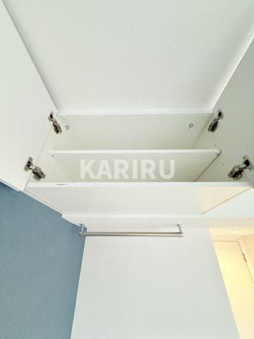 Alivis放出の収納