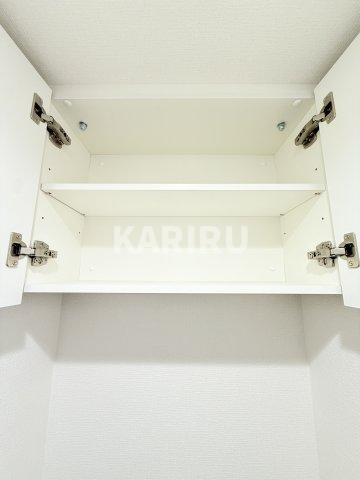 Alivis放出の収納