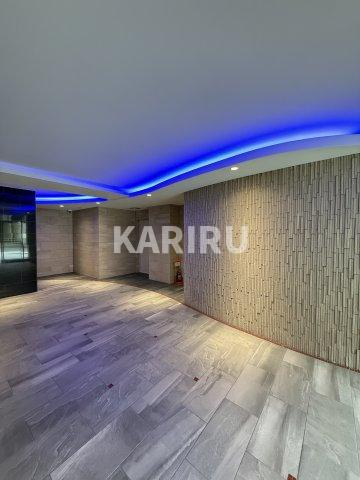 Alivis放出のロビー