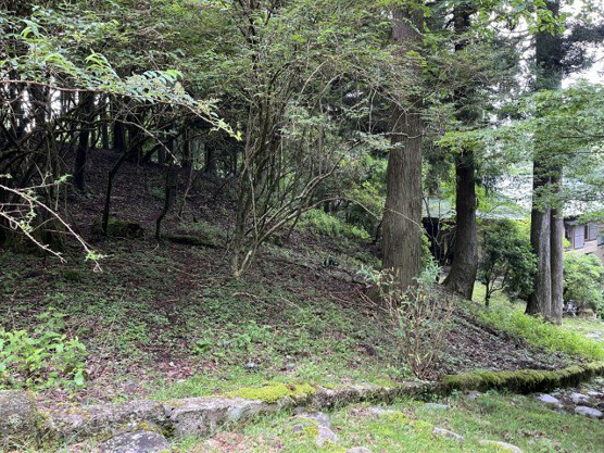 【外観】 | 東急天城高原別荘地　売地