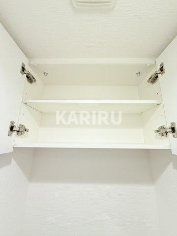 Alivis放出の収納