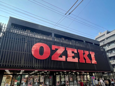 【周辺】 | パティーナ菊川