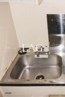 【その他】 | ベルテエフ