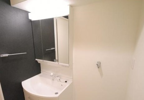 熊本市中央区水道町の賃貸マンションの独立洗面台