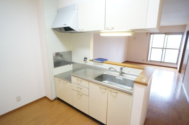 サテライト　ミーホＢ棟のキッチン