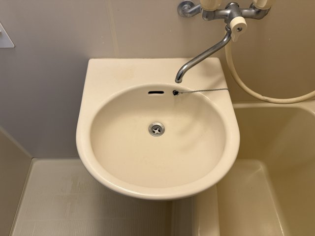 セピアコート田伏の洗面所