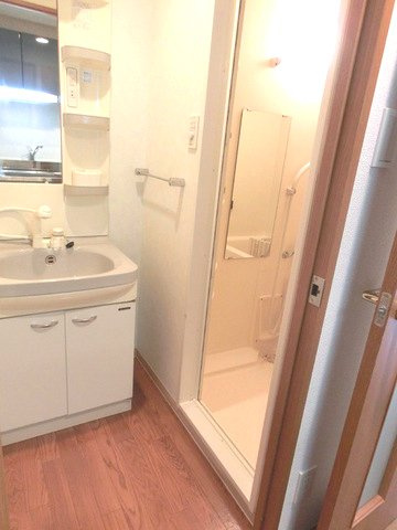 メゾン西梅田の洗面所|シャンプードレッサー